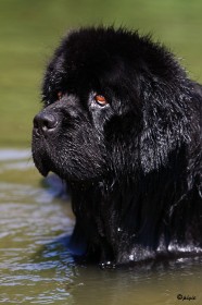 IMG_5117