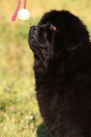 IMG_0757