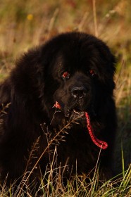 IMG_3771