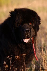 IMG_3939