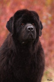 IMG_4423