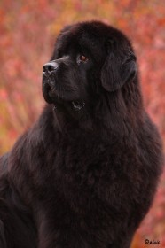 IMG_4444