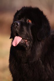 IMG_5659