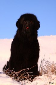 IMG_7643
