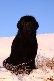 IMG_7647