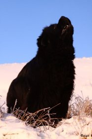 IMG_7650