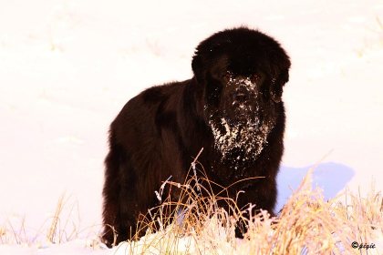 IMG_7659