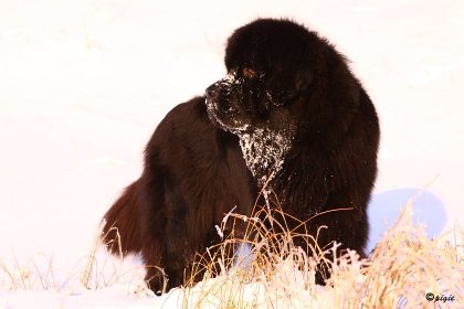 IMG_7660