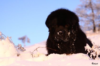IMG_7743