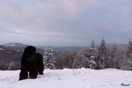 IMG_7827