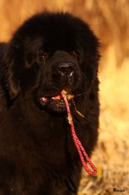 IMG_8757