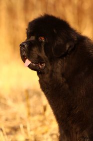 IMG_8781