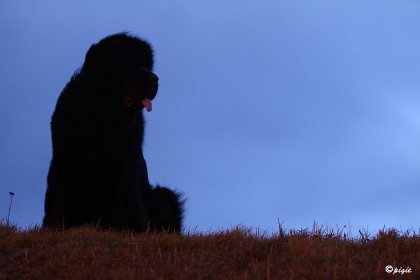 IMG_9609