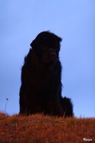 IMG_9627