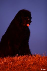 IMG_9861