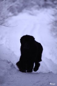 IMG_9923