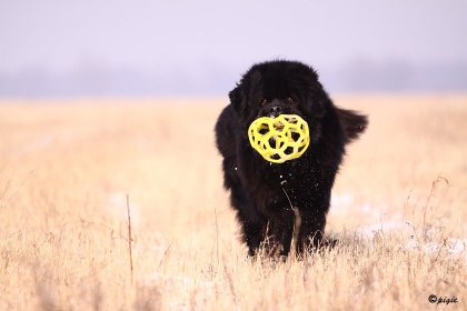 IMG_2547