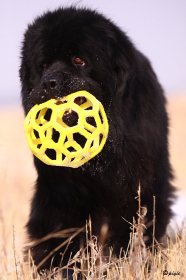 IMG_2561