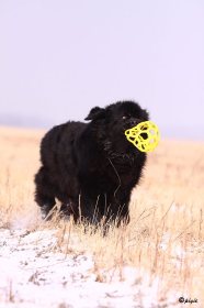 IMG_2610