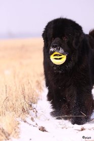 IMG_2746