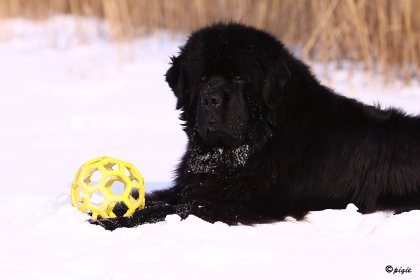 IMG_2802