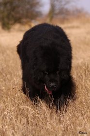 IMG_3803