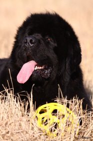 IMG_5931
