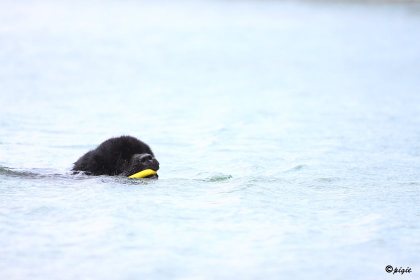 IMG_6993