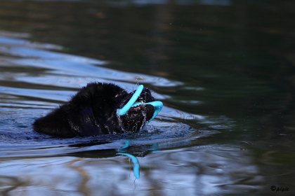 IMG_8700