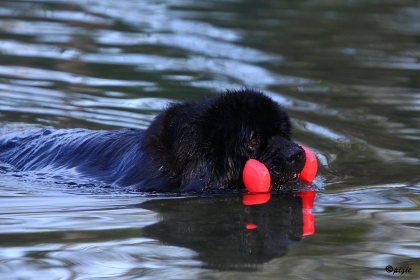 IMG_8781