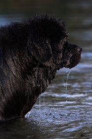 IMG_8881