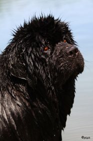 IMG_4336