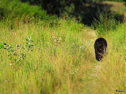 IMG_0120