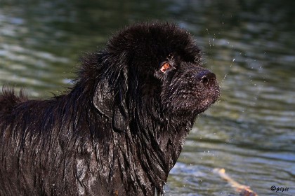 IMG_9988