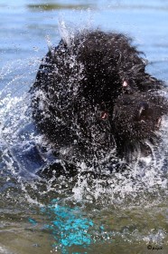 IMG_1695