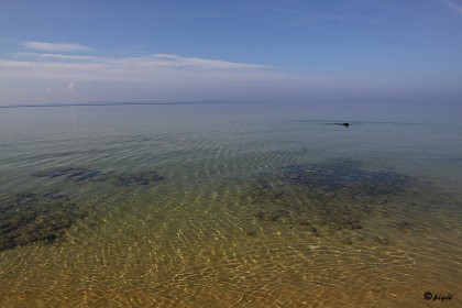 IMG_6529
