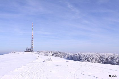 IMG_1523