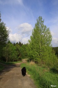 IMG_0177