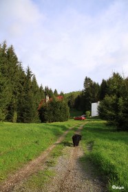 IMG_0211
