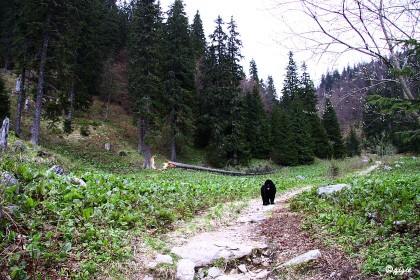 IMG_0276