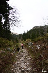 IMG_0297