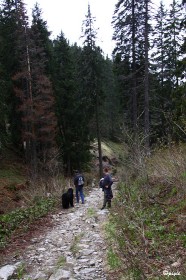 IMG_0310