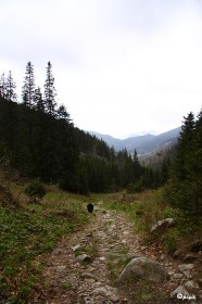 IMG_0322