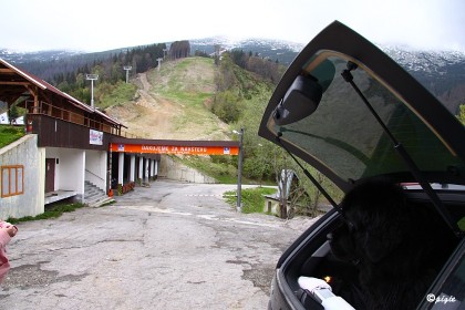IMG_0379