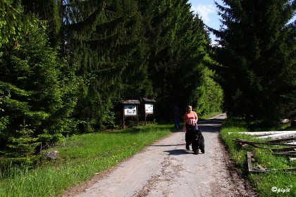 IMG_0470