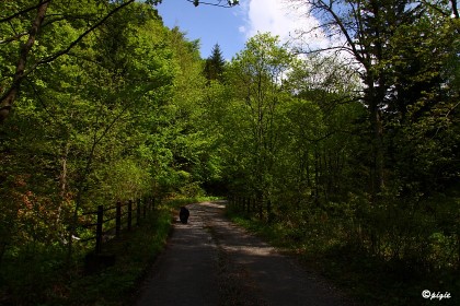 IMG_0500