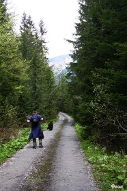 IMG_0521
