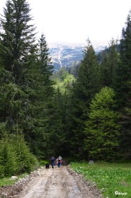 IMG_0535