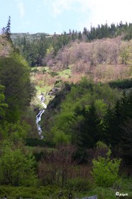 IMG_0550