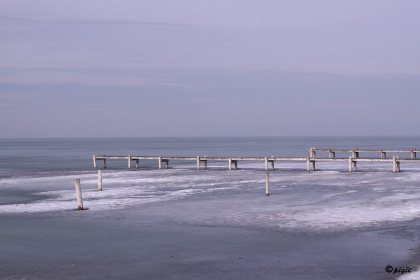 IMG_3847